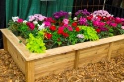 Raised Beds